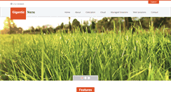 Desktop Screenshot of giganticnano.com